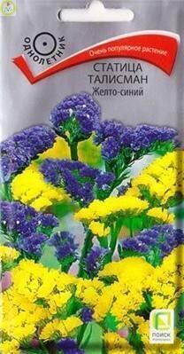 Купить оптом в Ботанике семена Статица Талисман Желто-синий Поиск бренд Поиск