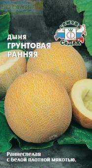 Купить оптом в Ботанике семена Дыня Грунтовая ранняя Сед бренд СеДеК