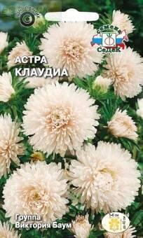Купить оптом в Ботанике семена Астра Клаудиа Сед бренд СеДеК