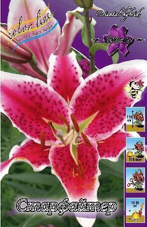 Купить оптом в Ботанике Лилия Старфайтер 10 шт