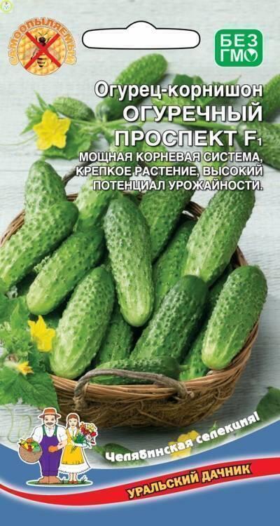 Купить оптом в Ботанике семена Огурец Огуречный Проспект F1 УД бренд Уральский дачник