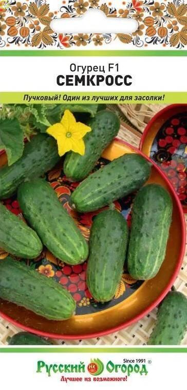 Купить оптом в Ботанике семена Огурец Семкросс F1 НК бренд НК