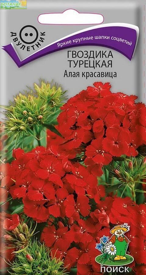 Купить оптом в Ботанике семена Гвоздика турецкая Алая красавица Поиск бренд Поиск