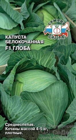 Купить оптом в Ботанике семена Капуста белокочанная Глоба Сед бренд СеДеК