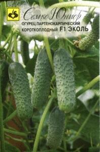 Купить оптом в Ботанике семена Огурец Эколь F1 Сем бренд Семко