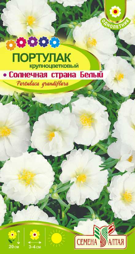 Купить оптом в Ботанике семена Портулак Солнечная страна СА бренд Семена Алтая