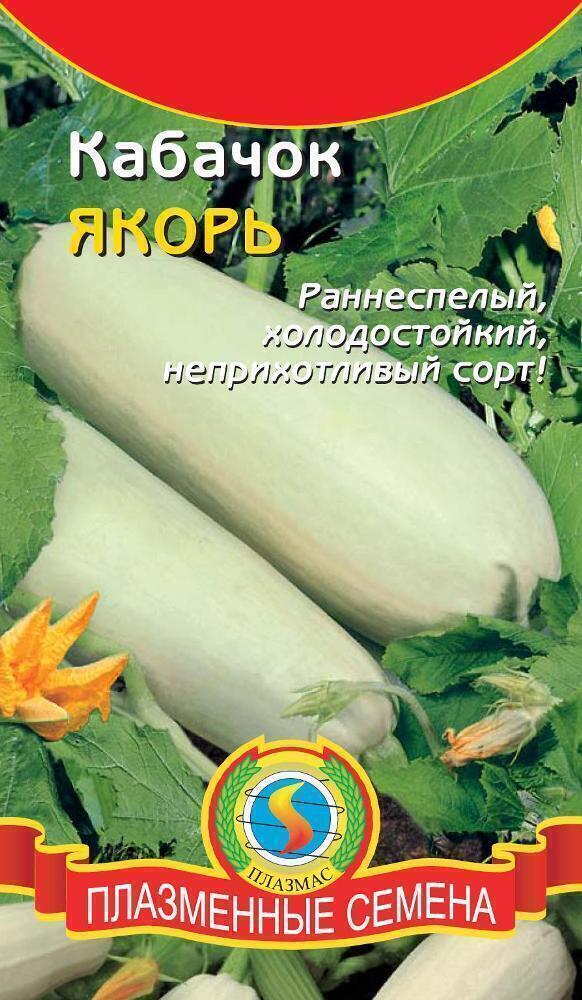 Купить оптом в Ботанике семена Кабачок Якорь Плз бренд Плазмас