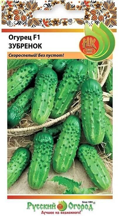 Купить оптом в Ботанике семена Огурец Зубренок F1 НК бренд НК