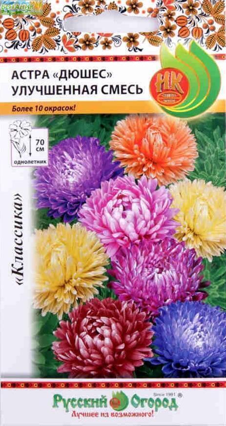 Купить оптом в Ботанике семена Астра Дюшес улучшенная смесь НК бренд НК