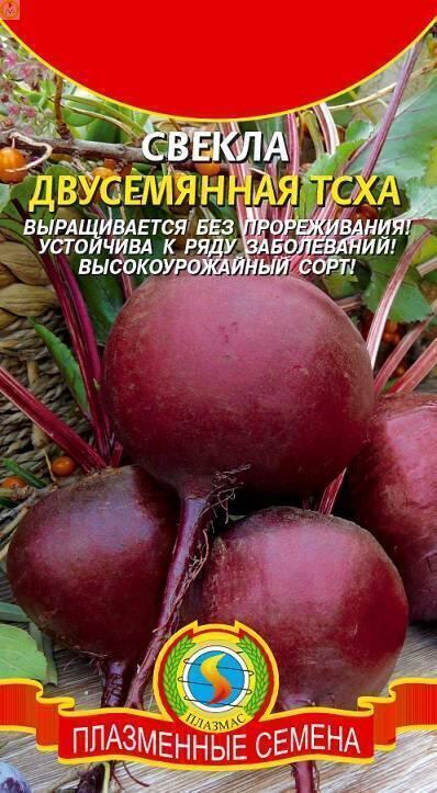 Купить оптом в Ботанике семена Свекла Двусемянная ТСХА Плз бренд Плазмас