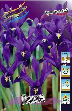 Купить оптом в Ботанике Ирис Пикси 10 шт
