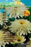 Купить оптом в Ботанике семена Ромашка Эксгибишен Агр бренд Агрико