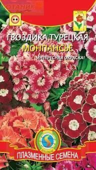 Купить оптом в Ботанике семена Гвоздика турецкая Монпасье Плз бренд Плазмас