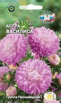 Купить оптом в Ботанике семена Астра Василиса Сед бренд СеДеК