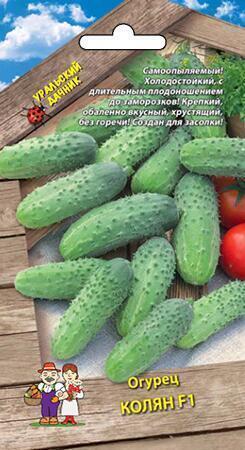 Купить оптом в Ботанике семена Огурец Колян F1 УД бренд Уральский дачник
