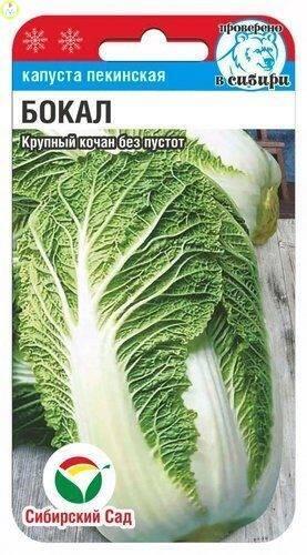 Купить оптом в Ботанике семена Капуста пекинская Бокал СС бренд Сиб.сад