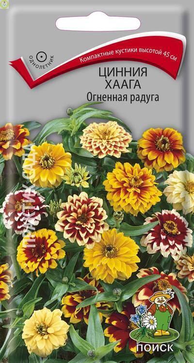 Купить оптом в Ботанике семена Цинния Хаага Огненная радуга Поиск бренд Поиск