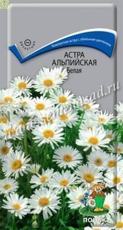 Купить оптом в Ботанике семена Астра Альпийская белая Поиск бренд Поиск