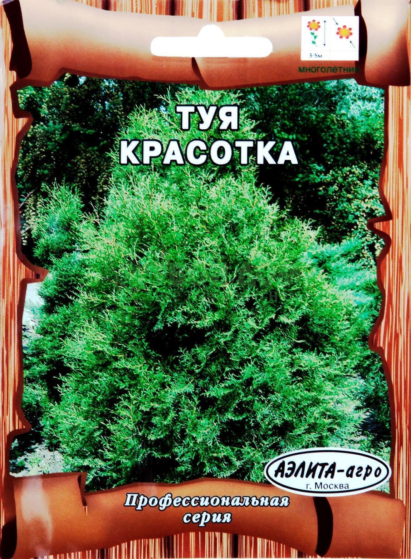 Купить оптом в Ботанике семена Туя западная Красотка Аэл бренд Аэлита
