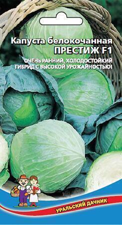 Купить оптом в Ботанике семена Капуста белокочанная Престиж УД бренд Уральский дачник