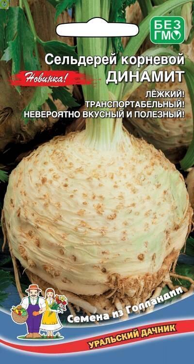 Купить оптом в Ботанике семена Сельдерей Динамит корневой УД бренд Уральский дачник