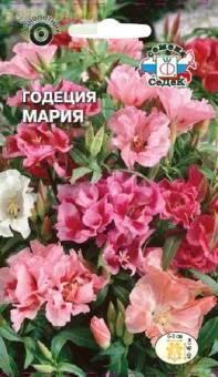 Купить оптом в Ботанике семена Годеция Мария махровая крупноцветковая Сед бренд СеДеК