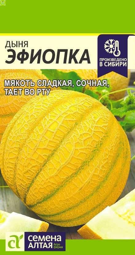Купить оптом в Ботанике семена Дыня Эфиопка СА бренд Семена Алтая