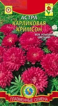 Купить оптом в Ботанике семена Астра Карликовая Кримсон Плз бренд Плазмас