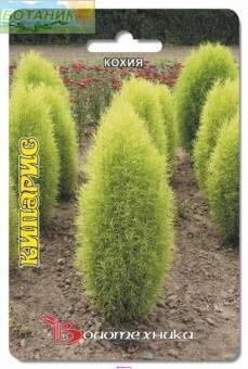Купить оптом в Ботанике семена Кохия Кипарис Био бренд Биотехника