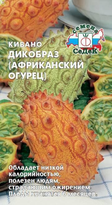 Купить оптом в Ботанике семена Кивано Дикобраз Сед бренд СеДеК