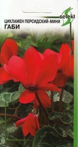 Купить оптом в Ботанике семена Цикломен Габи персидский мини ССО бренд Сортсемовощ