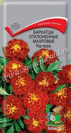Купить оптом в Ботанике семена Бархатцы Ред черри отклоненные Поиск бренд Поиск