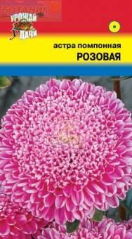 Купить оптом в Ботанике семена Астра Помпонная розовая УУ бренд Урожай Удачи