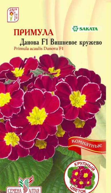 Купить оптом в Ботанике семена Примула Данова Вишневое кружево СА бренд Семена Алтая