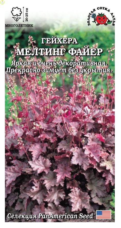 Купить оптом в Ботанике семена Гейхера Мелтинг файер ЗС бренд Золотая сотка