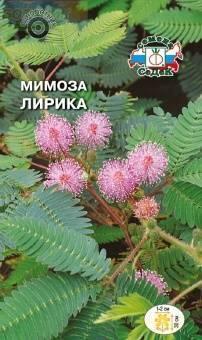 Купить оптом в Ботанике семена Мимоза Лирика* Сед бренд СеДеК