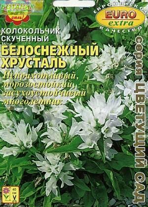 Купить оптом в Ботанике семена Колокольчик Белоснежный хрусталь скученный Аэл бренд Аэлита