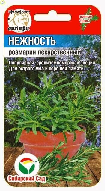 Купить оптом в Ботанике семена Розмарин Нежность СС бренд Сиб.сад