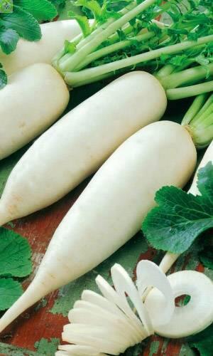 Купить оптом в Ботанике семена Дайкон Миноваси УД бренд Уральский дачник, Марс