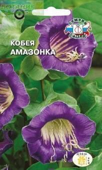Купить оптом в Ботанике семена Кобея лазающая Амазонка фиолетовая Сед бренд СеДеК