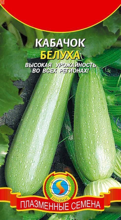 Купить оптом в Ботанике семена Кабачок Белуха Плз бренд Плазмас