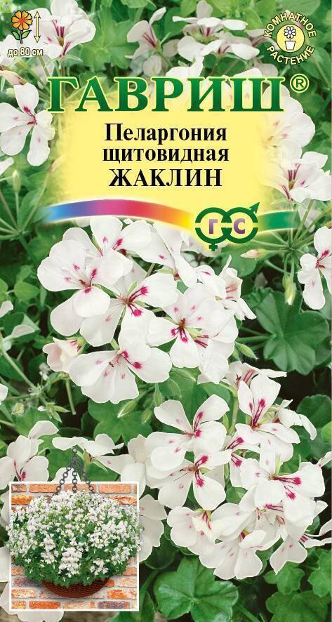 Купить оптом в Ботанике семена Пеларгония Жаклин ампельная Гав бренд Гавриш