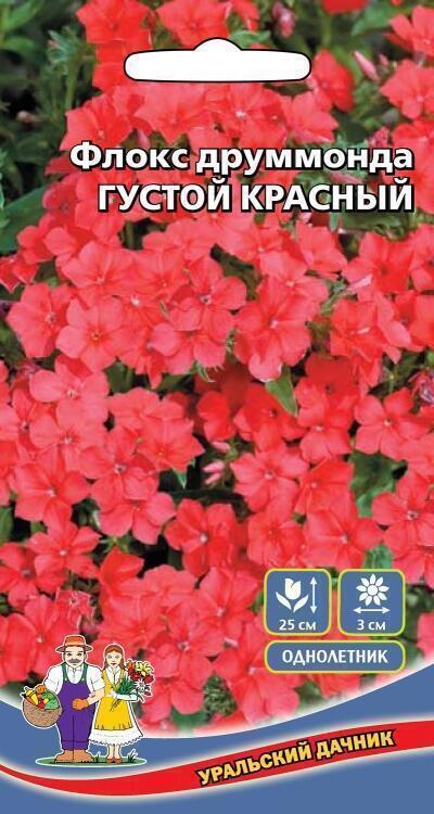 Купить оптом в Ботанике семена Флокс Густой красный УД бренд Уральский дачник