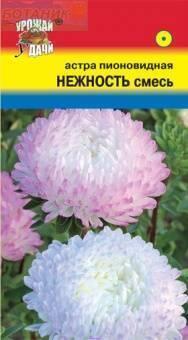 Купить оптом в Ботанике семена Астра Нежность пионовидная смесь УУ бренд Урожай Удачи