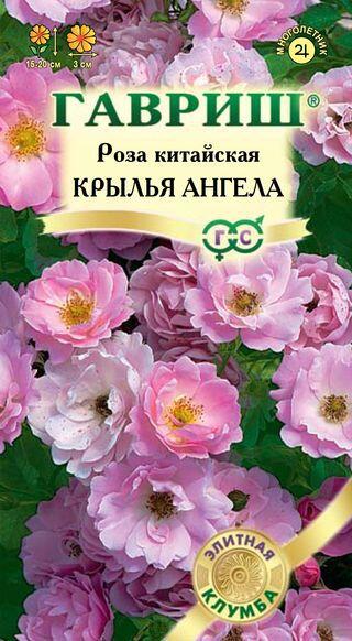 Купить оптом в Ботанике семена Роза Крылья ангела китайская Гав бренд Гавриш