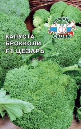 Купить оптом в Ботанике семена Капуста брокколи Цезар Сед бренд СеДеК