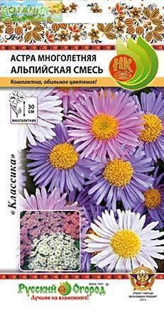 Купить оптом в Ботанике семена Астра Альпийская многолетняя смесь НК бренд НК