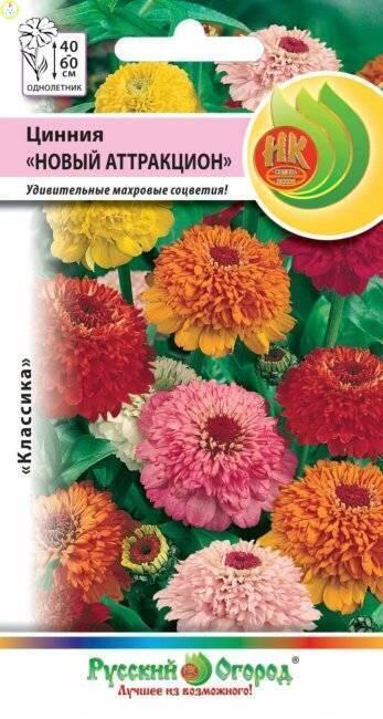Купить оптом в Ботанике семена Цинния Новый аттракцион, смесь НК бренд НК