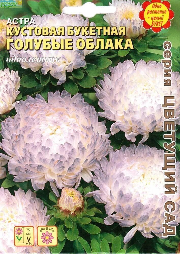 Купить оптом в Ботанике семена Астра Голубые облака букетная Аэл бренд Аэлита