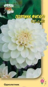 Купить оптом в Ботанике семена Георгина Фигаро белая УУ бренд Урожай Удачи
